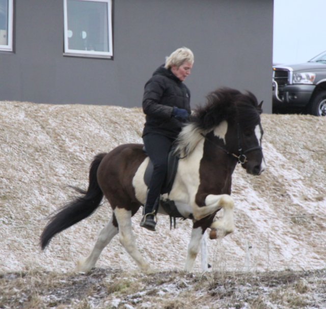 lffinnur_2_mars11_001 lffinnur_2_mars11_001