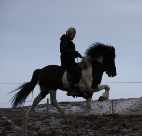 lffinnur_2_mars11_002 lffinnur_2_mars11_002