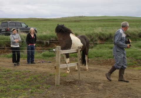 lffinnur_t_20_jni10_002 lffinnur_t_20_jni10_002