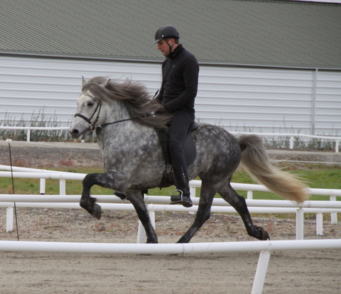 siss.mif.10_029 siss.mif.10_029