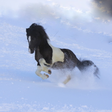 sth._feb.10_001 sth._feb.10_001