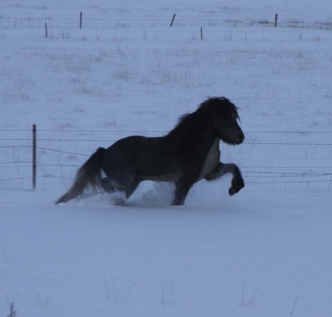 sth._feb.10_022 sth._feb.10_022