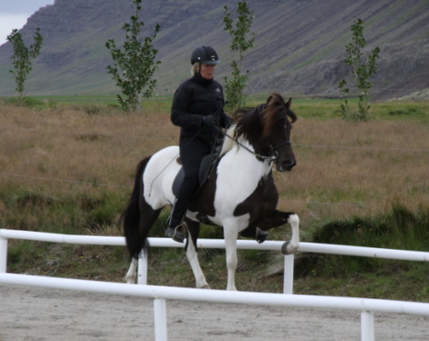 heillads_siss.0810_001 heillads_siss.0810_001