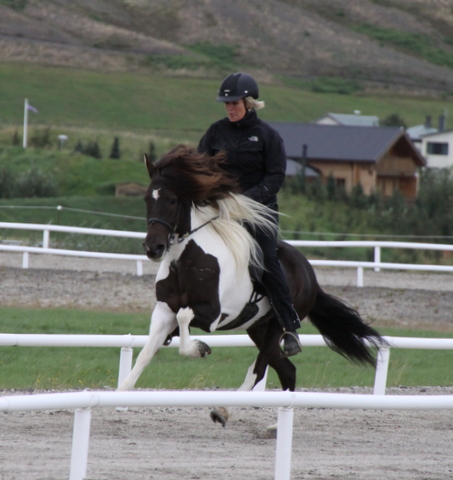 heillads_siss.0810_002 heillads_siss.0810_002