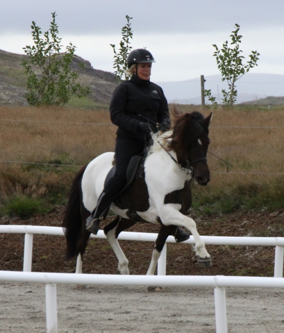 heillads_siss.0810_004 heillads_siss.0810_004