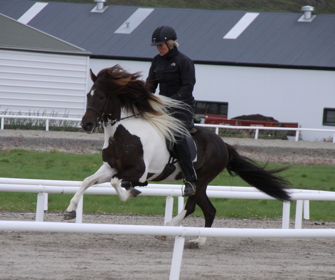 heillads_siss.0810_005 heillads_siss.0810_005