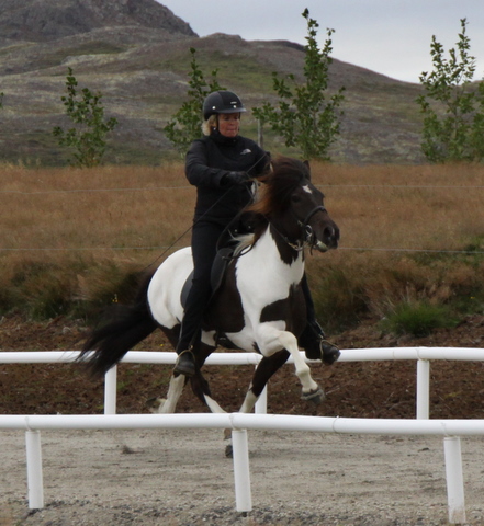 heillads_siss.0810_006 heillads_siss.0810_006