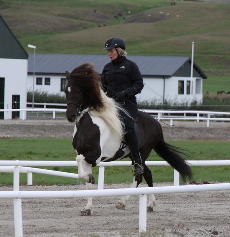 heillads_siss.0810_011 heillads_siss.0810_011