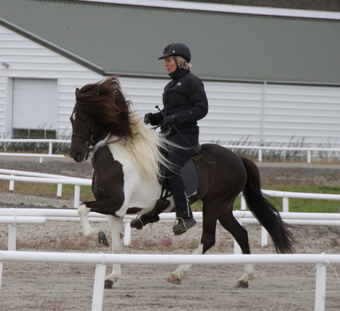 heillads_siss.0810_012 heillads_siss.0810_012