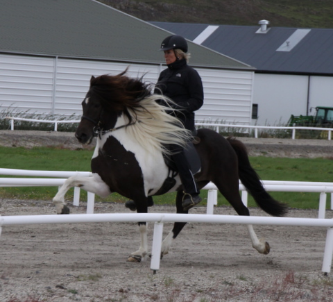 heillads_siss.0810_015 heillads_siss.0810_015