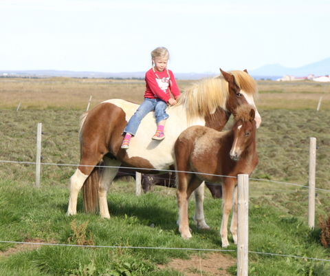 lfads_og_karen_rs_001-1 lfads_og_karen_rs_001-1