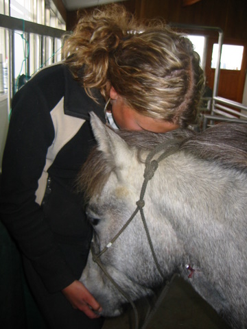 silfurt_003 silfurt_003