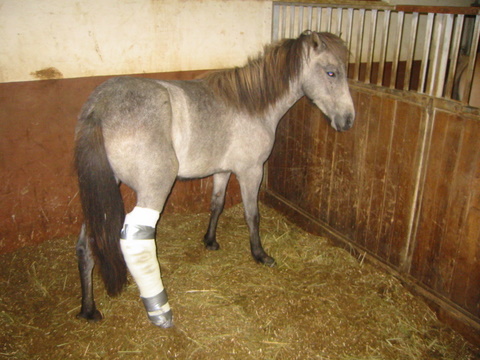 silfurt__2 silfurt__2