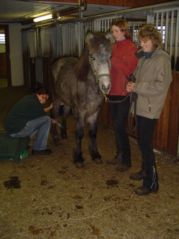 silfurt__7 silfurt__7