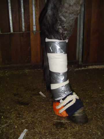 silfurt__8 silfurt__8