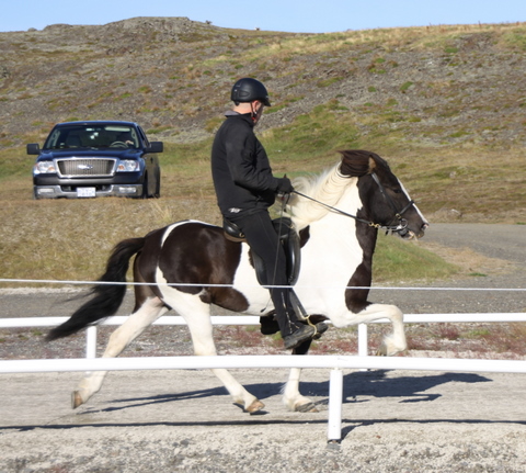 siss.mif.10_002 siss.mif.10_002