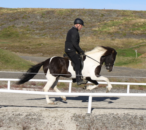 siss.mif.10_004 siss.mif.10_004