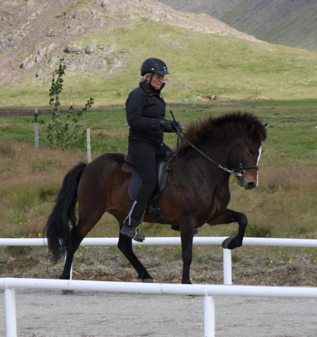 siss.mif.10_006 siss.mif.10_006