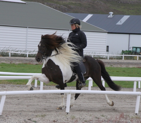 siss.mif.10_022 siss.mif.10_022