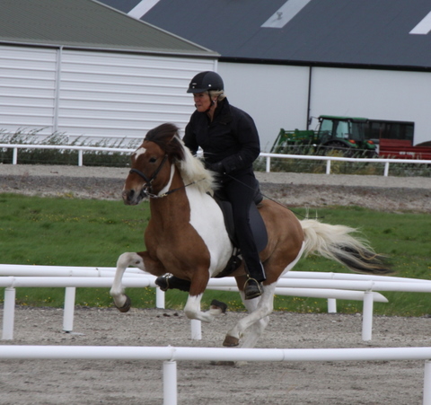 siss.mif.10_026 siss.mif.10_026