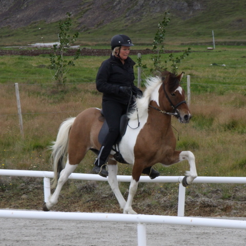 siss.mif.10_028 siss.mif.10_028