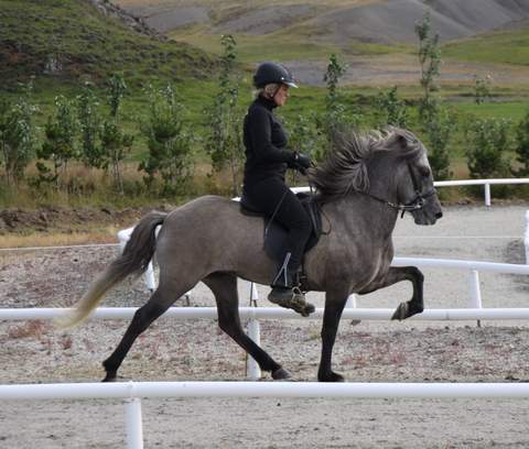 siss.mif.10_037 siss.mif.10_037