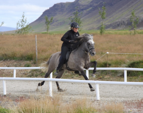 siss.mif.10_040 siss.mif.10_040