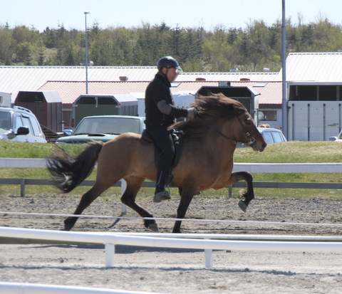 brimnir_ma11_051 brimnir_ma11_051