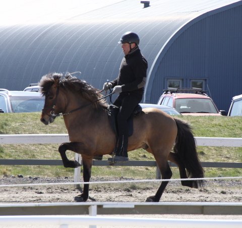 brimnir_ma11_095_3 brimnir_ma11_095_3