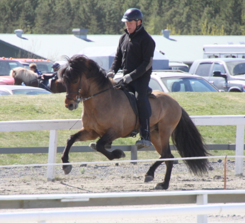 brimnir_ma11_095_4 brimnir_ma11_095_4