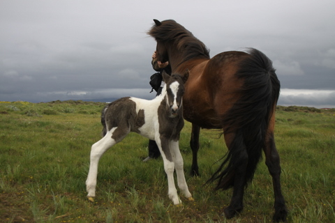 framti_og_dttir11_9 framti_og_dttir11_9