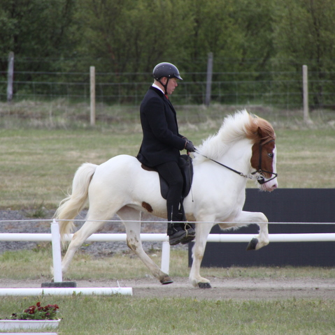 landsmt11_068 landsmt11_068