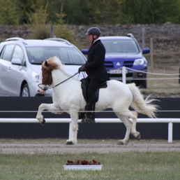 landsmt11_069-2 landsmt11_069-2