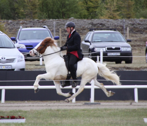 landsmt11_073 landsmt11_073