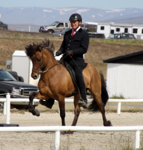 landsmt11_099 landsmt11_099