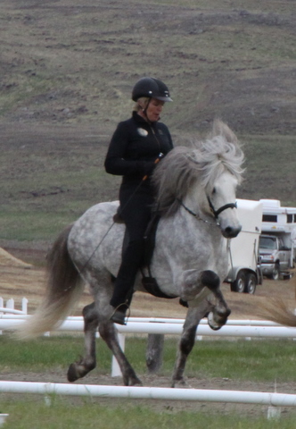 landsmt11_142 landsmt11_142