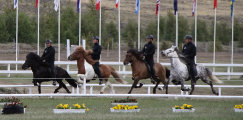 landsmt11_149 landsmt11_149