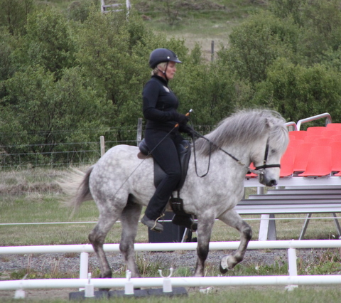 landsmt11_154 landsmt11_154