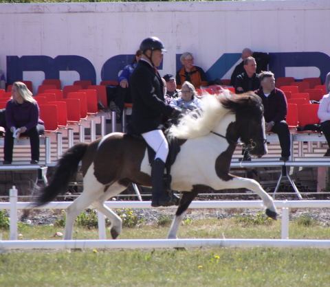 landsmt11_199 landsmt11_199