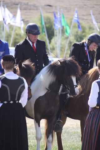 landsmt11_208 landsmt11_208