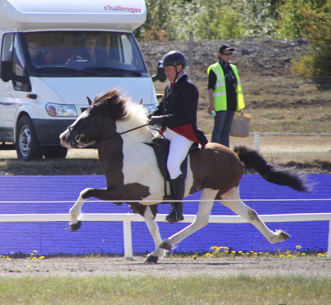 landsmt11_215 landsmt11_215