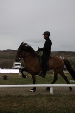 landsmt11_488 landsmt11_488