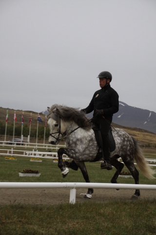 landsmt11_495 landsmt11_495