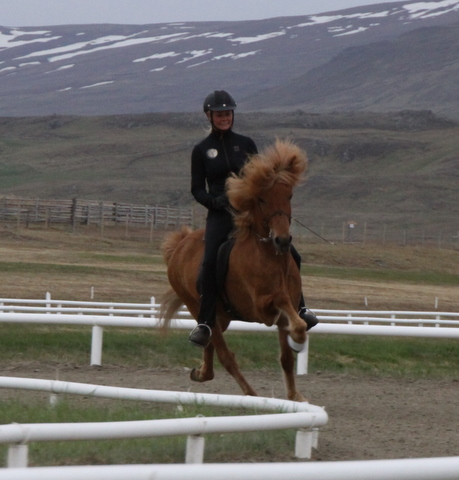 landsmt11_504 landsmt11_504