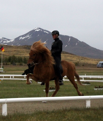 landsmt11_507 landsmt11_507