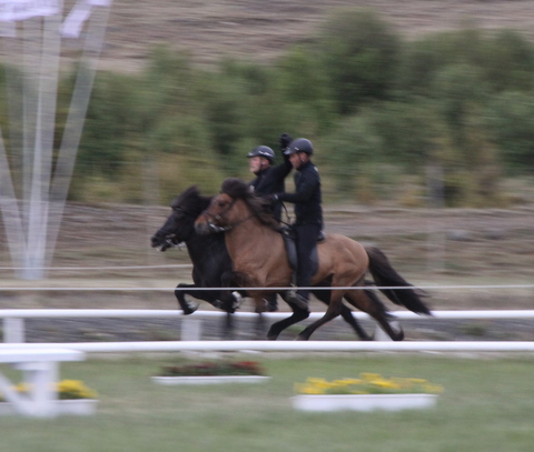 landsmt11_784 landsmt11_784