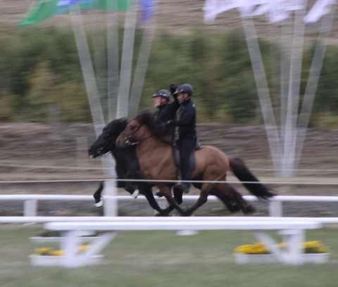 landsmt11_786 landsmt11_786