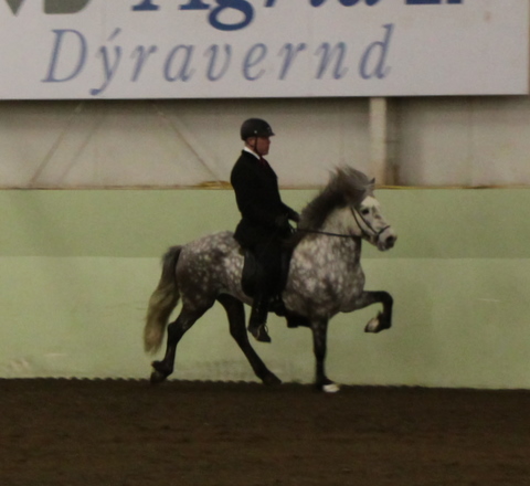 sthestav.__saurkr._20011_002