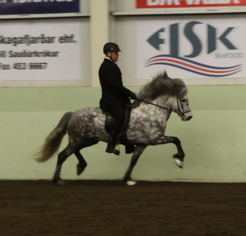 sthestav.__saurkr._20011_005