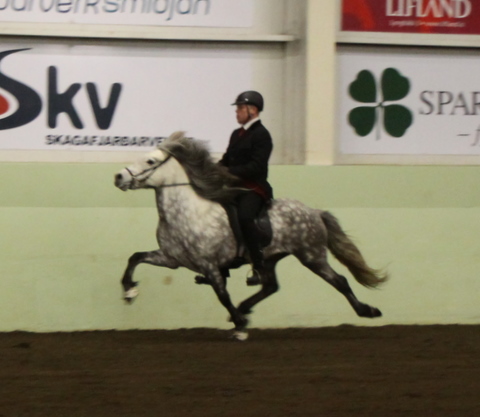 sthestav.__saurkr._20011_008